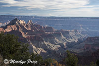 Evening light near the Lodge, Grand Canyon National Park, AZ