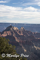 Evening light near the Lodge, Grand Canyon National Park, AZ