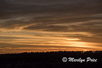 Sunset near the Lodge, Grand Canyon National Park, AZ