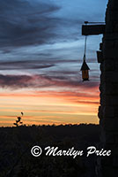 Sunset near the Lodge, Grand Canyon National Park, AZ