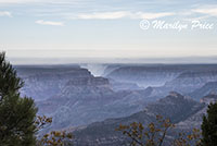 Point Imperial, North Rim, Grand Canyon National Park, AZ