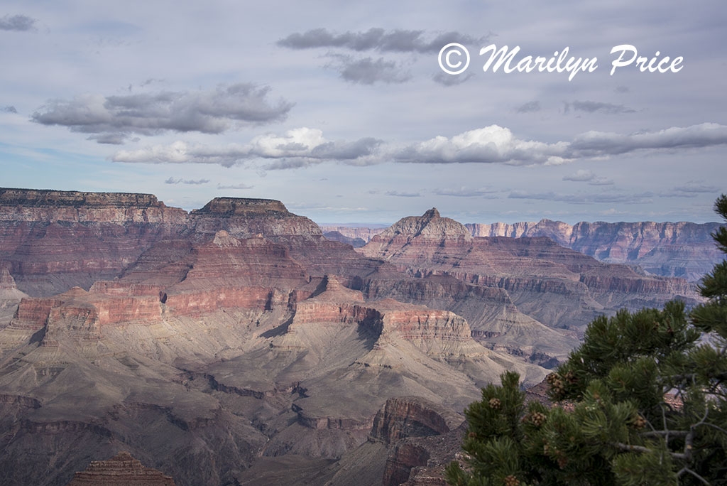 Yaki Point, Grand Canyon National Park, AZ