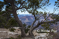 Yaki Point, Grand Canyon National Park, AZ