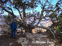 Marilyn, Yaki Point, Grand Canyon National Park, AZ