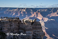 Mather Point, Grand Canyon National Park, AZ