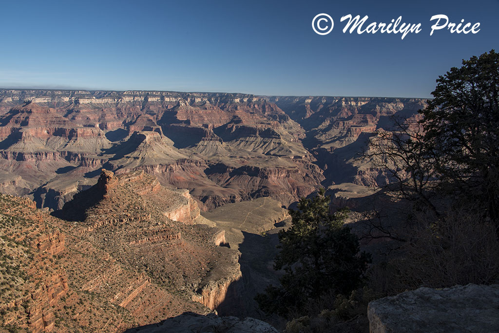 Bright Angel Trail, Grand Canyon National Park, AZ