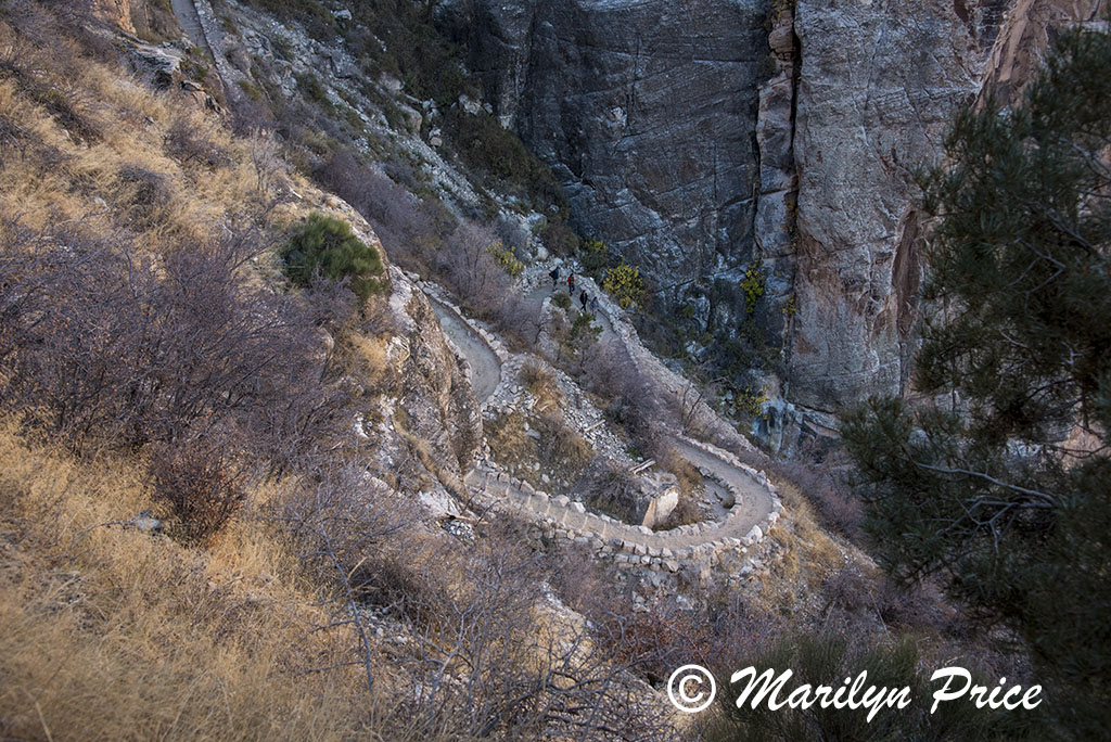 Bright Angel Trail, Grand Canyon National Park, AZ