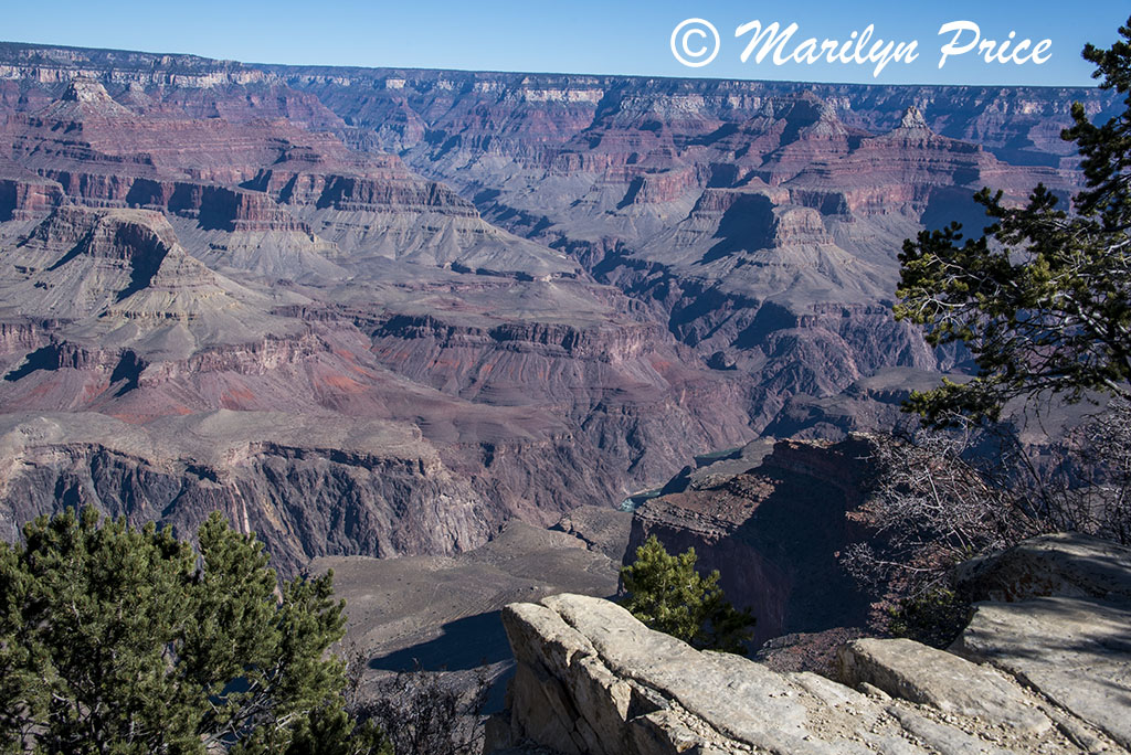 Colorado River from Powell Memorial Point, Grand Canyon National Park, AZ