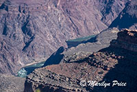 Colorado River from Powell Memorial Point, Grand Canyon National Park, AZ