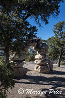 Welcome Arch, Hermit's Rest, Grand Canyon National Park, AZ