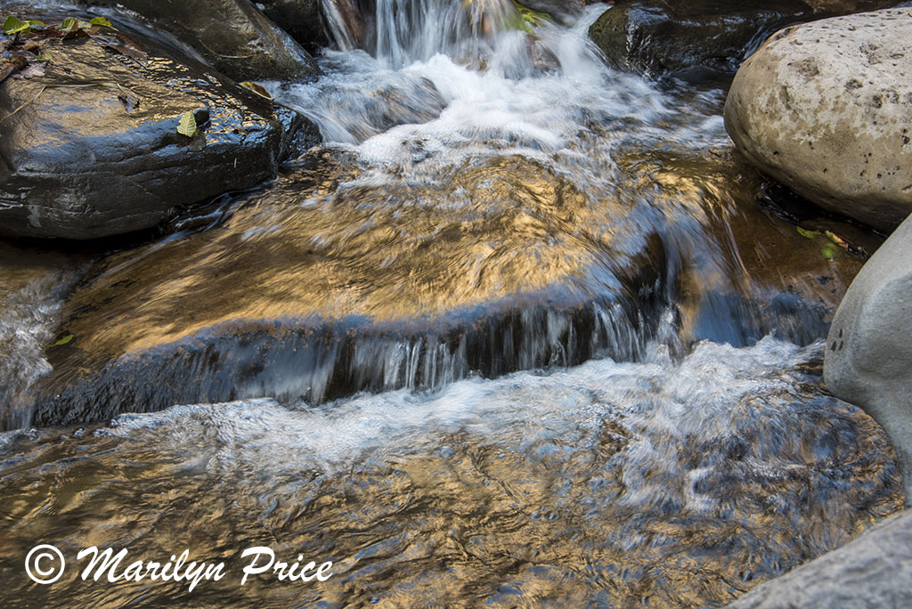 Cascades along Oak Creek, Oak Creek Canyon, AZ