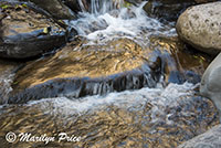 Cascades along Oak Creek, Oak Creek Canyon, AZ