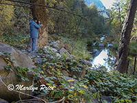 Marilyn shooting along Oak Creek, Oak Creek Canyon, AZ