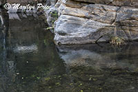 Reflections in Oak Creek, Oak Creek Canyon, AZ