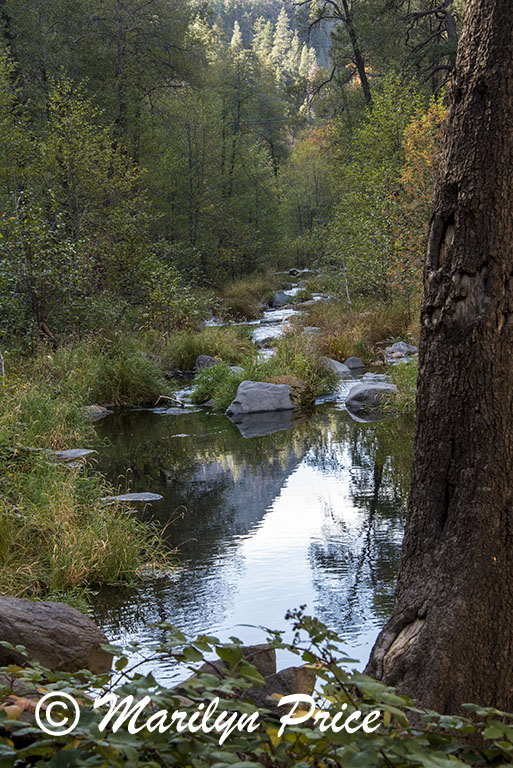 Looking downstream along Oak Creek, Oak Creek Canyon, AZ