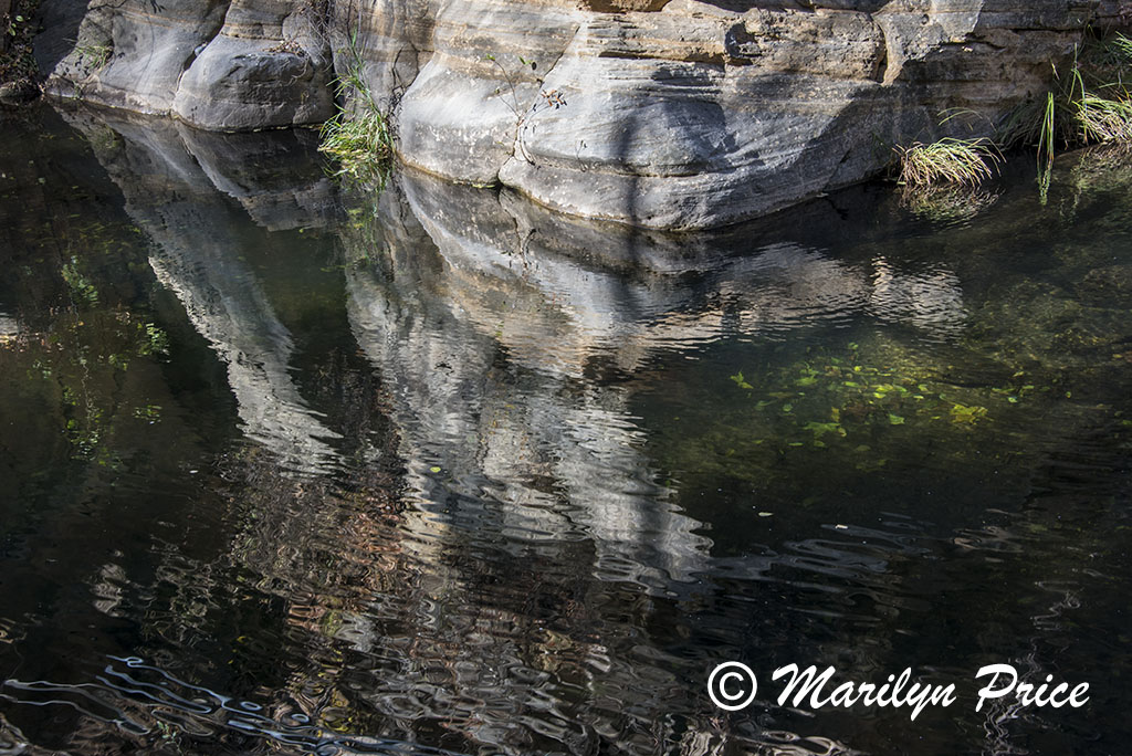 Reflections in Oak Creek, Oak Creek Canyon, AZ