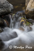 Cascades along Oak Creek, Oak Creek Canyon, AZ