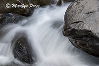 Cascades along Oak Creek, Oak Creek Canyon, AZ