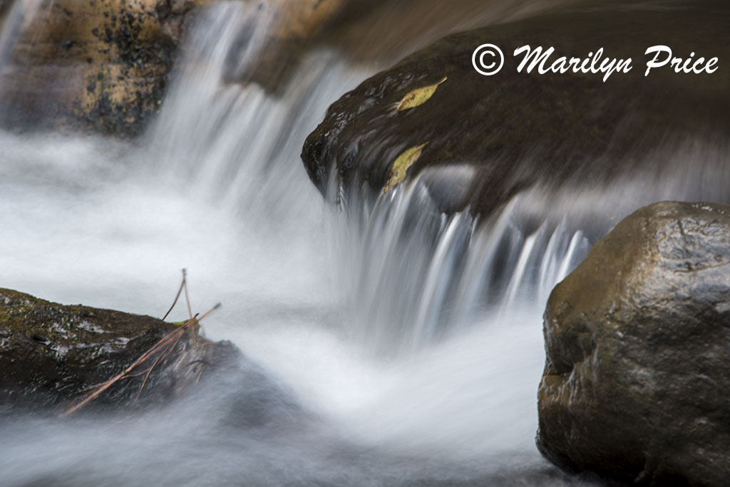 Cascades along Oak Creek, Oak Creek Canyon, AZ