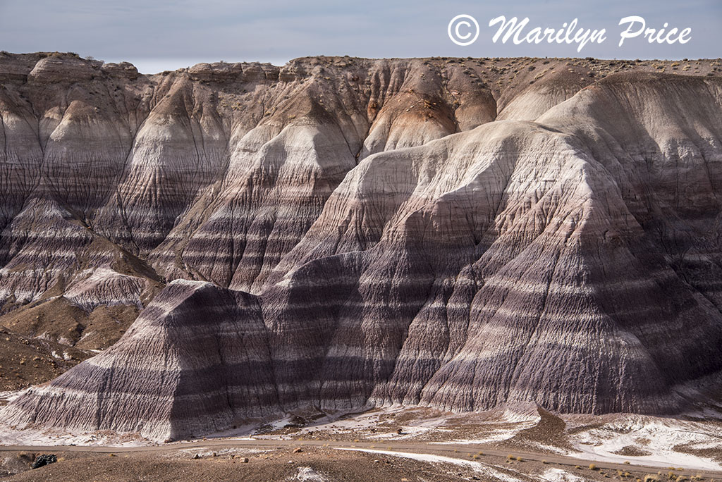 Blue Mesa, Petrified Forest National Park, AZ