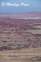 Pintado Point, Painted Desert portion of Petrified Forest National Park, AZ