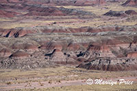 Pintado Point, Painted Desert portion of Petrified Forest National Park, AZ