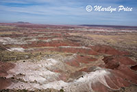 Kachina Point, Painted Desert portion of Petrified Forest National Park, AZ