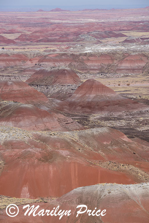 Kachina Point, Painted Desert portion of Petrified Forest National Park, AZ