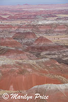 Kachina Point, Painted Desert portion of Petrified Forest National Park, AZ