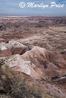 Tawa Point, Painted Desert portion of Petrified Forest National Park, AZ