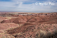 Tiponi Point, Painted Desert portion of Petrified Forest National Park, AZ