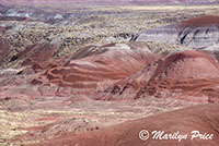 Tiponi Point, Painted Desert portion of Petrified Forest National Park, AZ