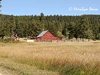 Old barn and corral, Caribou Ranch Open Space, CO