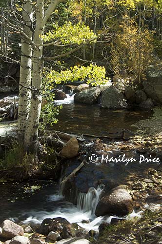 Cascades on Glacier Creek, Mills Lake Trail, Rocky Mountain National Park, CO