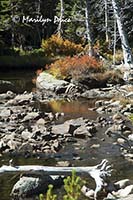 Autumn reflections in Glacier Creek, Mills Lake Trail, Rocky Mountain National Park, CO