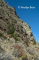 Cliffs above Mills Lake Trail, Rocky Mountain National Park, CO