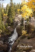 Alberta Falls and autumn aspen, Mills Lake Trail, Rocky Mountain National Park, CO