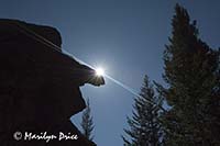 Sun flare around Arch Rocks, Fern Falls Trail, Rocky Mountain National Park, CO