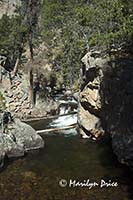 The Pool, Big Thompson River, Fern Falls Trail, Rocky Mountain National Park, CO