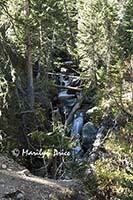 Trailside cascade, Fern Falls Trail, Rocky Mountain National Park, CO