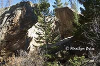 Arch Rocks, Fern Falls Trail, Rocky Mountain National Park, CO