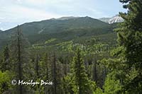 View from Bierstadt Trail, Rocky Mountain National Park, CO