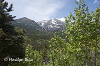 View from Bierstadt Trail, Rocky Mountain National Park, CO