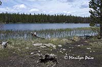 Bierstadt Lake, Rocky Mountain National Park, CO