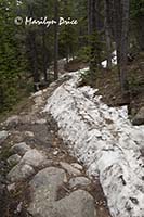 Snow on the trail, Rocky Mountain National Park, CO