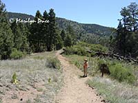 Marilyn at the intersection of Elkhorn and Raven's Roost Trails, Reynolds Park, CO