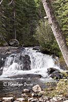 Lower Copeland Falls, Wild Basin Trail, Rocky Mountain National Park, CO