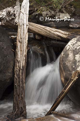 Upper Copeland Falls, Wild Basin Trail, Rocky Mountain National Park, CO