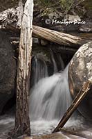 Upper Copeland Falls, Wild Basin Trail, Rocky Mountain National Park, CO