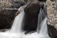 Upper Copeland Falls, Wild Basin Trail, Rocky Mountain National Park, CO